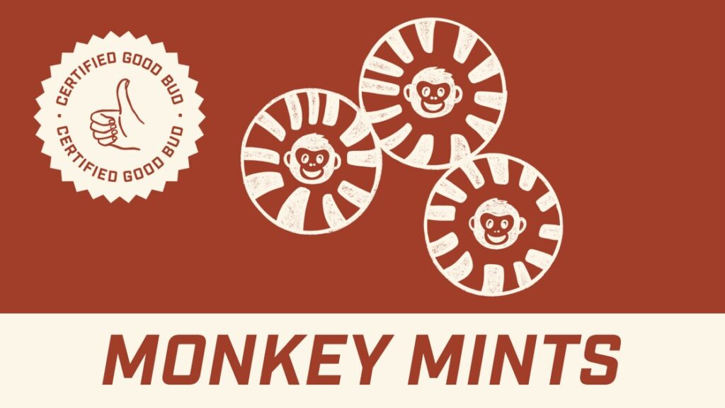 monkey mints strain blog